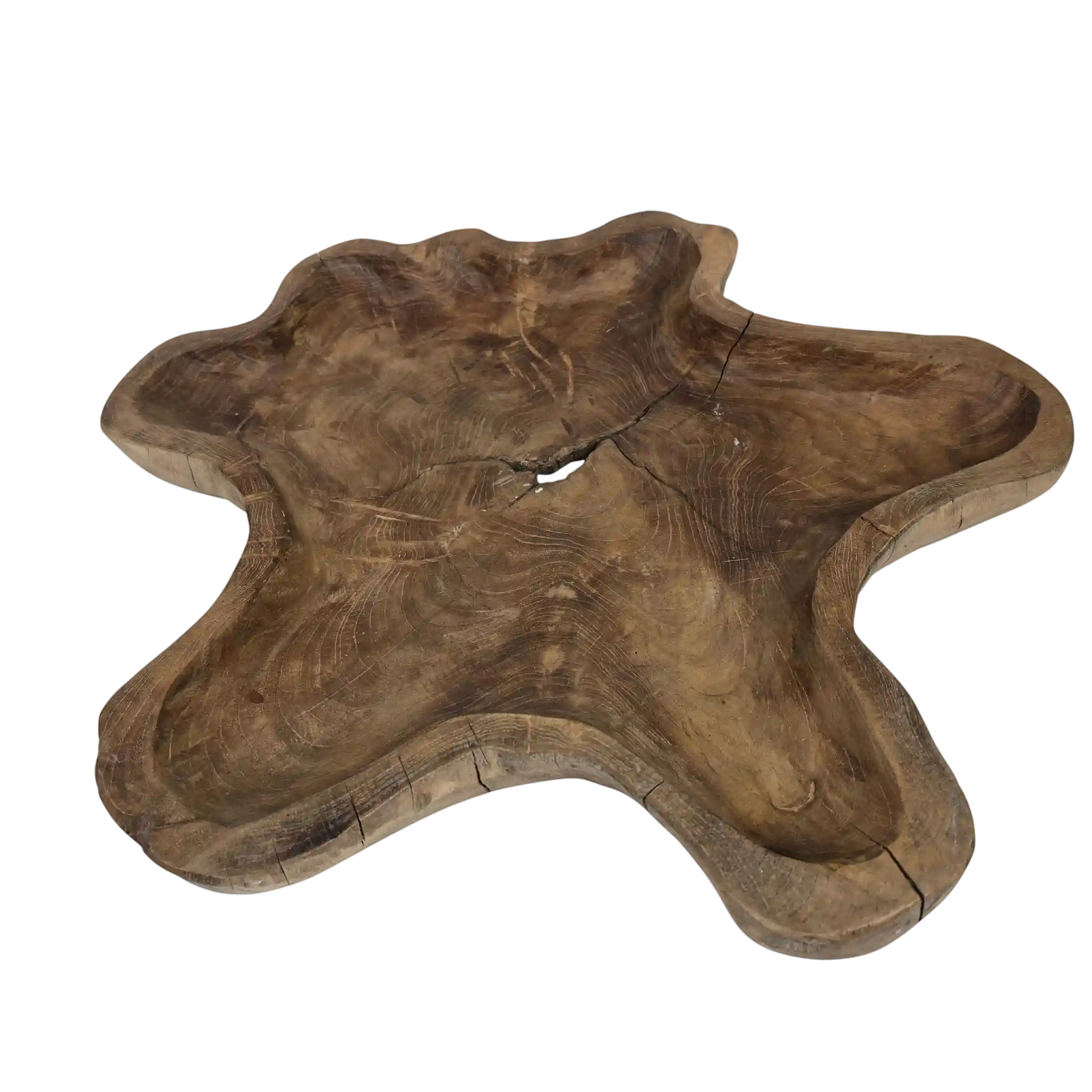 Patera Nr 01 - obrazek 5