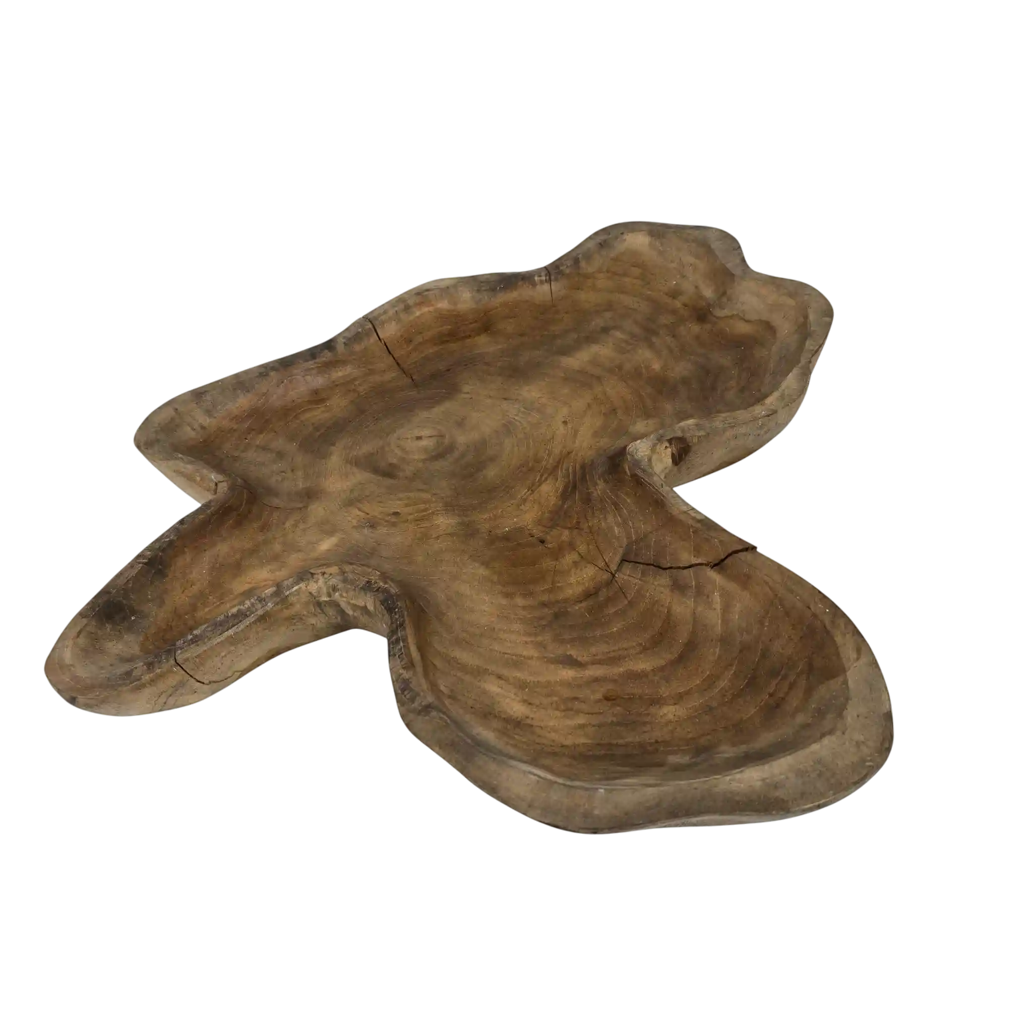 Patera Nr 01 - obrazek 6